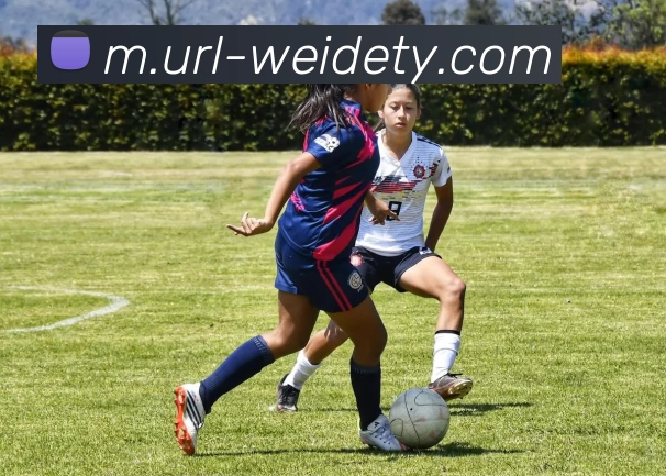 韦德体育品牌故事