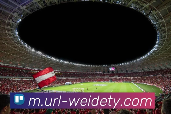 韦德体育服务体系